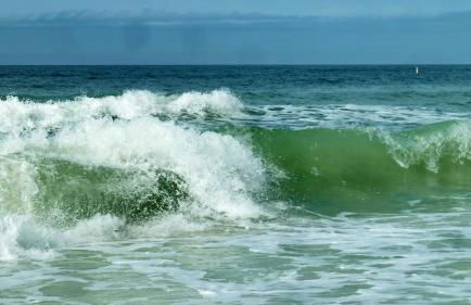 The Shores 103 - Foto 30