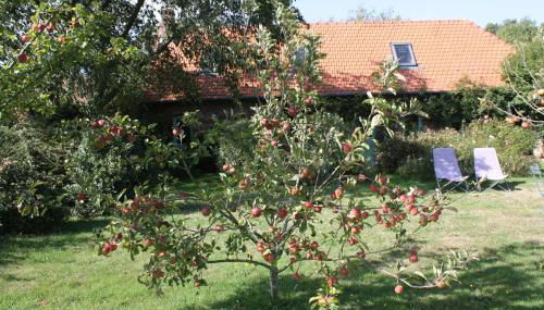 Petite Maison - Foto 5, Other