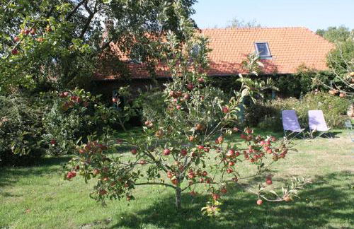 Petite Maison - Foto 5