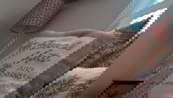 Beach Haus - Foto 4, Camera