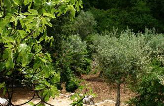 Agriturismo Antonelli Piangevino - Foto 87