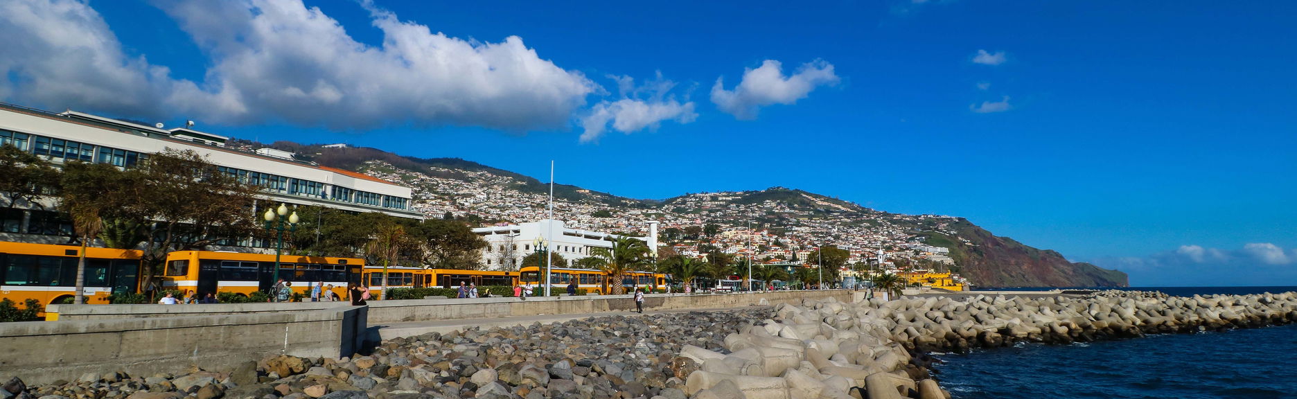 Tour of Madeira + Christiano Ronaldo Museum - Foto 1