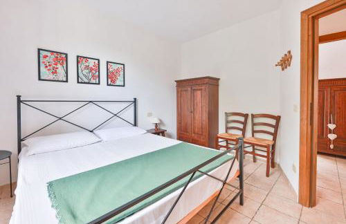 Cotoncello in una posizione panoramica - Goelba - Foto 10