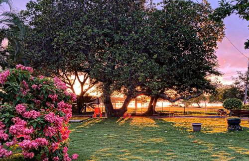 Fazenda Buritizal Grosso - Photo 5