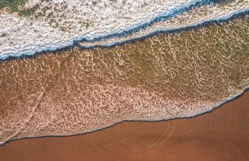 RESIDENZA I GIRASOLI - Spacious private house near the sea, quiet residential area - Lido dei Pini ANZIO - Photo 26