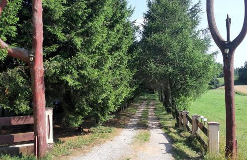 Pod Dębem - Foto 14