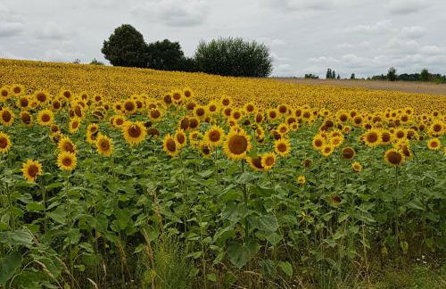 Apartment Curly - Foto 21