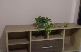 Kitnet confortável - Foto 3