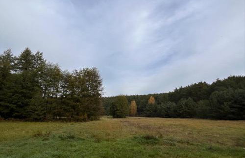 Siedlisko Silna Nowa - Foto 15