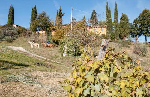 Podere dell'Anselmo - Foto 130