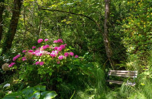 Umbrella Pines - Foto 36