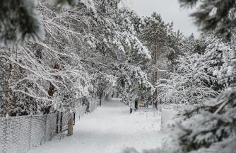 Kiton House - Foto 27