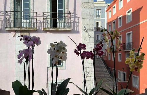 Azzulea Rossio Apartments - Foto 65