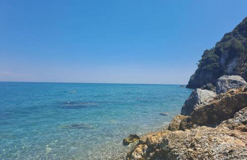 OLYMPUS Paradise 4 - Foto 33