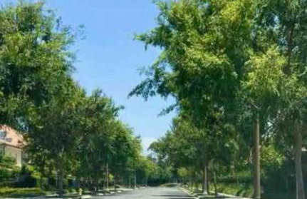 Corporate Housing, Vacation Rental in Irvine - Foto 3