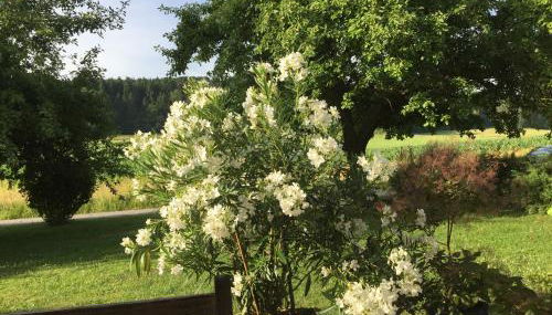 Haus Irmgard - Foto 5