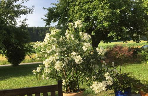 Haus Irmgard - Foto 5