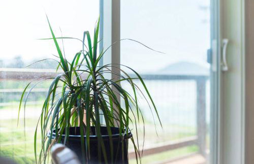 #StayinMyDistrict Oceanview Studio Loft - Foto 22