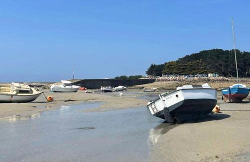 Résidence P38-ile Grande - Ty Pacha Vue mer Wifi jardin et parking, dépaysement à Ile Grande MAE-6094 - Foto 22