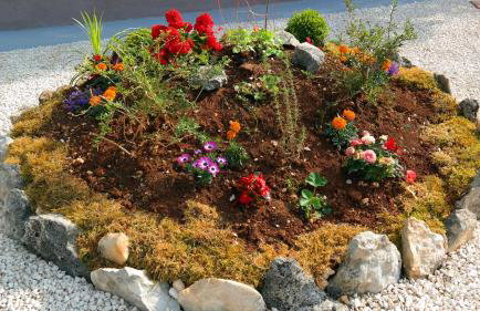 Spignoviza - Foto 16