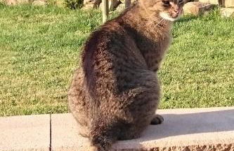 Rieslingstube bei Britta & Joachim - Foto 35