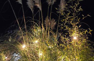 Caesars Lodge - Photo 9