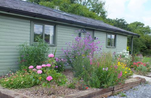 The Potting Shed And The Garden Shed Self Catering - Photo 33