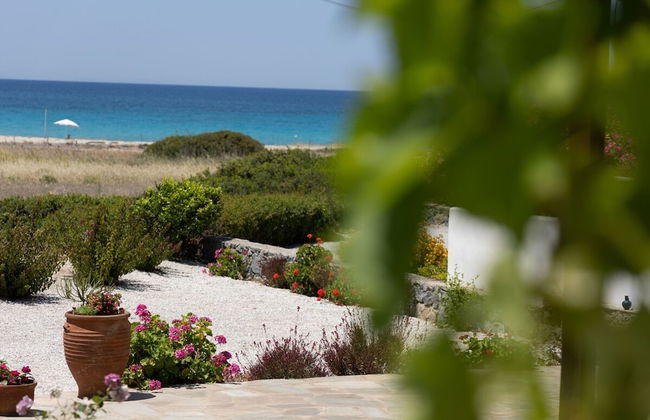 Angali HM Quiet 3 Bdrm Home on the Beach - Photo 26