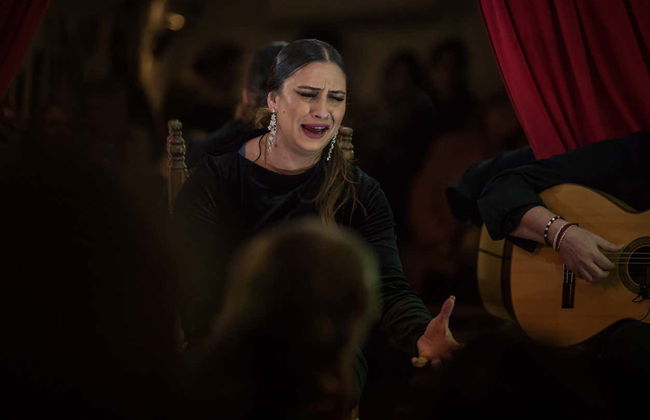 Espetáculo na Cueva Flamenca La Comino - Foto 2