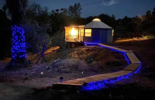 Glamping-Sky Dome Yurt-Tiny House-2 modern composting toilet - Foto 43