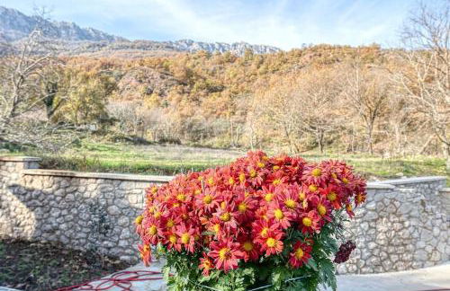 Villa Ntora - Foto 36