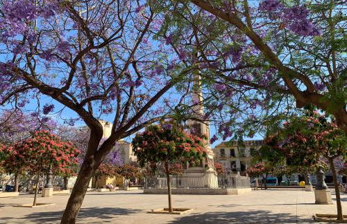 Picasso's Tres Puertas 4 bedrooms - Photo 13