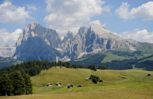 NaturResidence Dolomitenhof - Foto 31