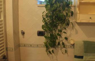 La Magnolia Locazione breve - Foto 24