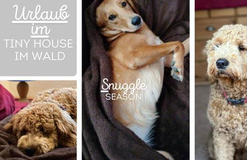 Hundeurlaub im Tiny House im Wald - Foto 78