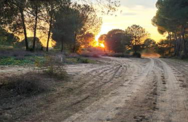 Hacienda Olontigi - Foto 45