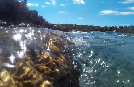 Apartments Salihbegovic - Foto 11