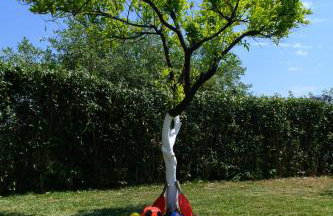 Villa Rosa - Foto 57