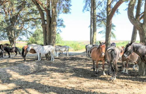 Herons Nest - Foto 43