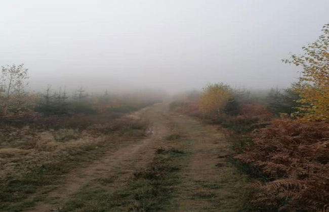 Peaceful Garden Home, Chevron - Foto 27