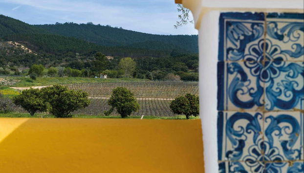 Tour in Portalegre - Foto 5