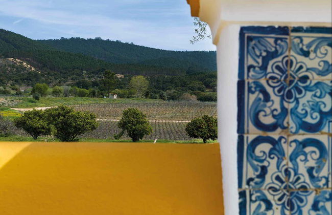 Visita a la bodega Quinta da Fonte Souto - Foto 5