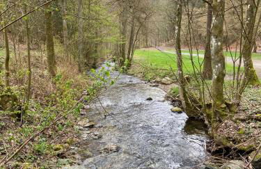 Ferienwohnung Schlossberg 2 - Foto 16