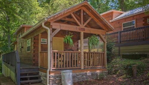 Sophie Cabin National Forest Tiny Cabin - Foto 3