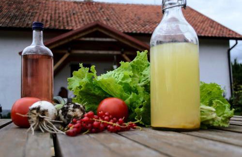 Zakątek Szczęścia Eko Agroturystyka - Foto 59