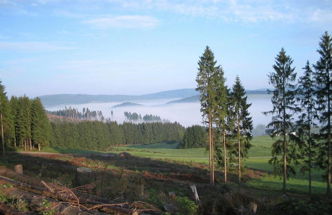 Naturparadies Bad Laasphe - Photo 32