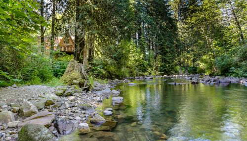 Clear Creek Cabin - Photo 2