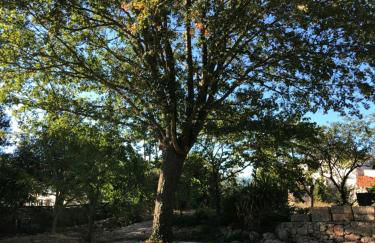 Villa Valentina - Foto 23