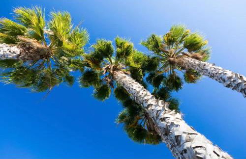 MyInzu - Club Albufeira Village Garden - Foto 19