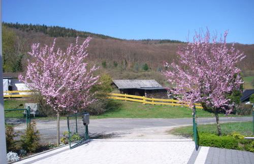 Seniorengerechte Ferienwohnung in Großalmerode - Foto 44